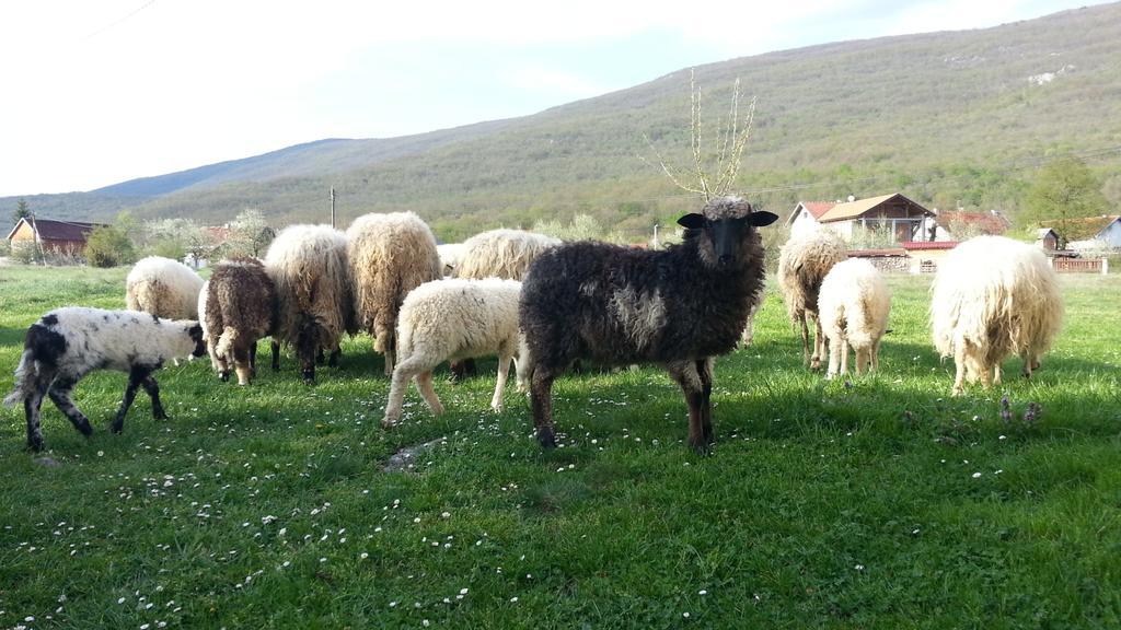 Gacka Valley Licko Lesce Kültér fotó