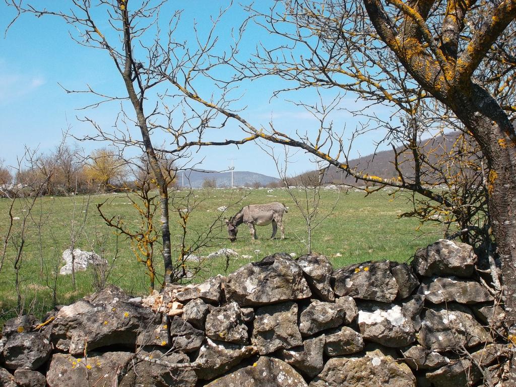 Gacka Valley Licko Lesce Kültér fotó